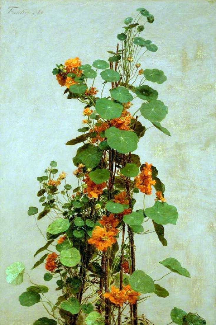 Nasturtium   هنري فانتين لاتور