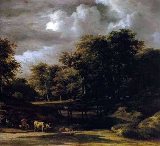 غابة المناظر الطبيعية   يعقوب فان Ruisdal