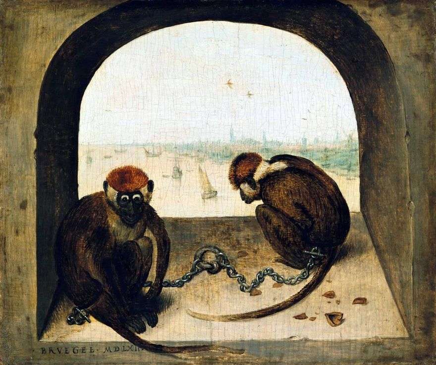 اثنين من القرود   بيتر Bruegel