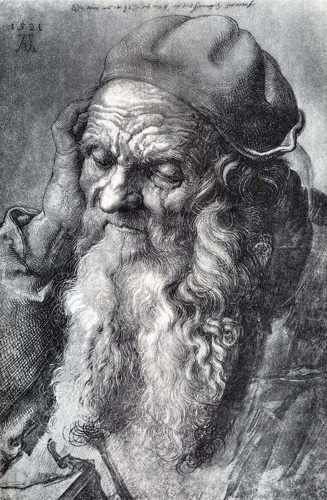 دراسة رجل يبلغ من العمر 93 عامًا   Albrecht Durer