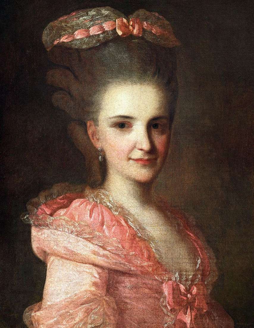 صورة لامرأة غير معروفة في ثوب وردي   فيدور روكوتوف